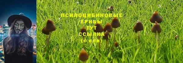 не бодяженный Навашино