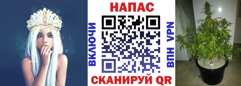 Шишки марихуана Ganja дарнет шоп гидра маркетплейс Николаевск-на-Амуре